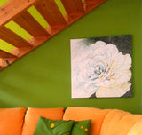 Dipinto con Rosa Bianca, Quadro con Grande Fiore