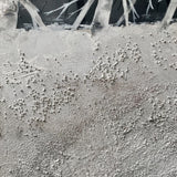 Dipinto Materico con Alberi, Quadro Astratto Bianco e Nero