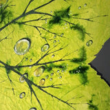 Dipinto Moderno Botanico, Quadro con Foglia Verde