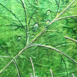 Quadro Materico con Grande Foglia, Dipinto Botanico con Foglia Verde