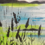 Spruzzi di Colore