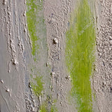 Quadro Materico Beige con Impunture, Arte Contemporanea